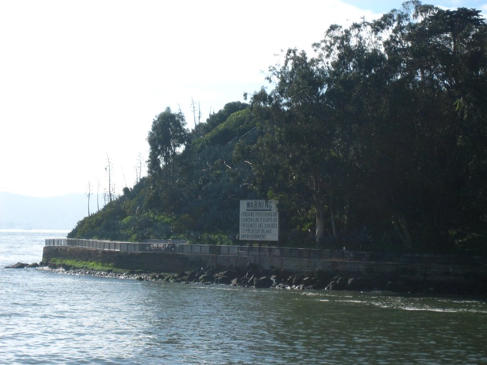 frisco116