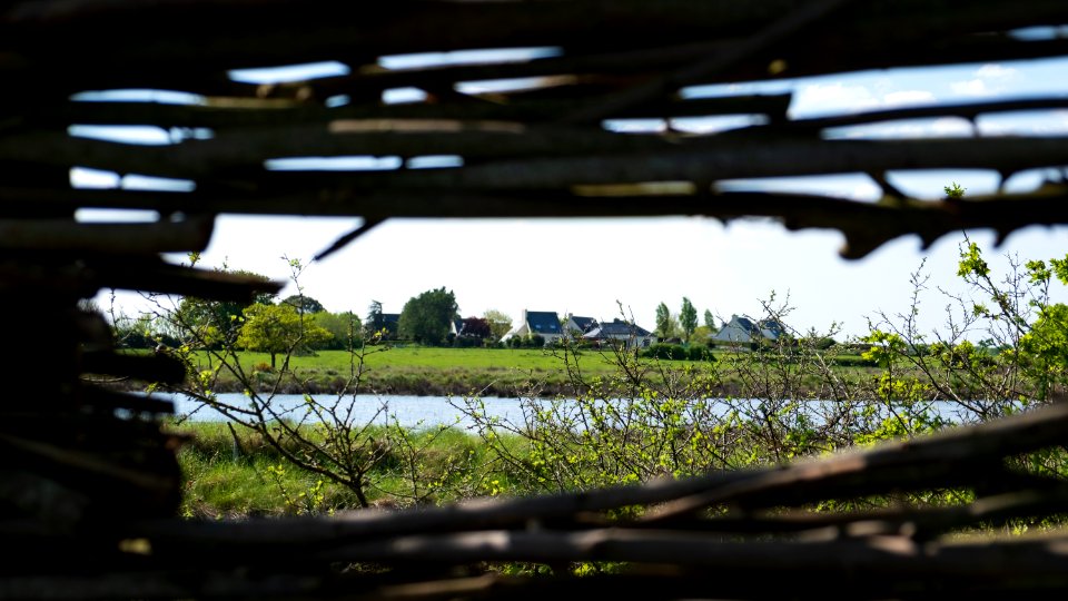 Marais de Séné photo