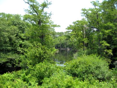 IMG 0236