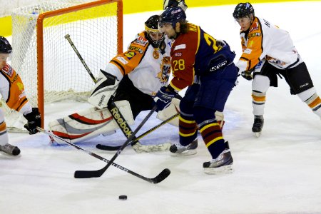 Guildford Flames At Telford Tigers