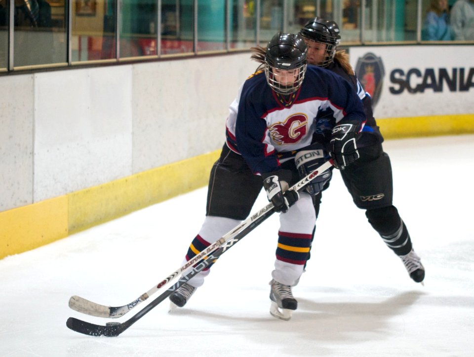 Guildford Lightning Vs Sheffield Shadows