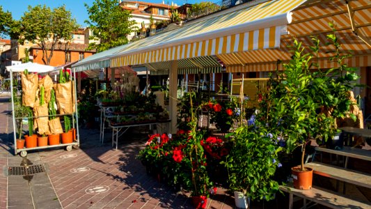 Cours Saleya / Marché aux fleurs