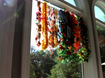Leis in the Window