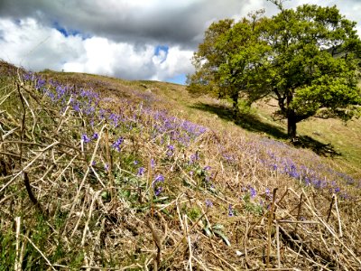 Walk near Ambleside, Lake District