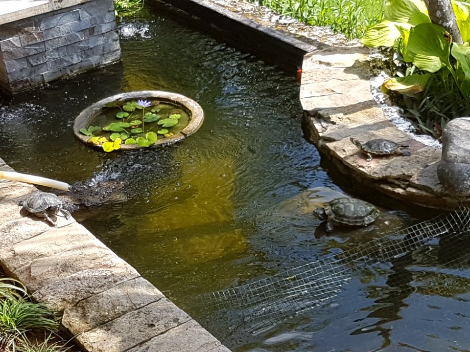 20180806 133502