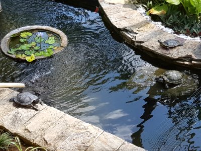 20180806 133522