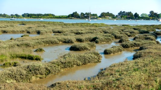 Marée basse photo