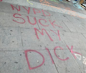 NYPD Suck My Dick photo