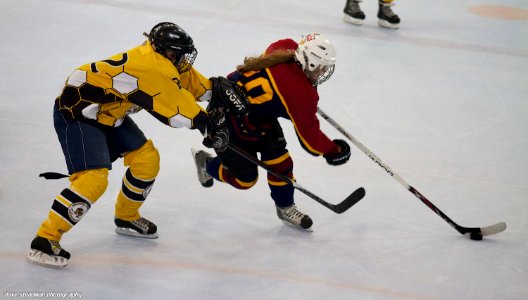 Guildford Lightning At Bracknell Queen Bees