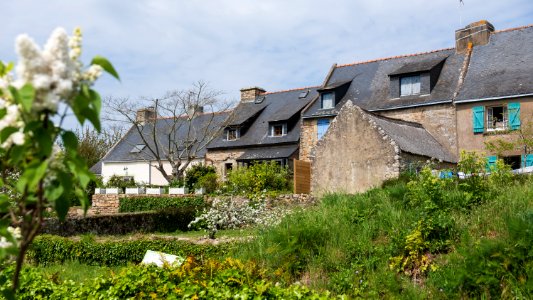 île d'Arz photo