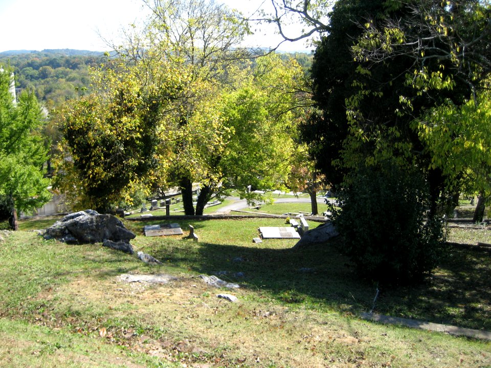 IMG 0576