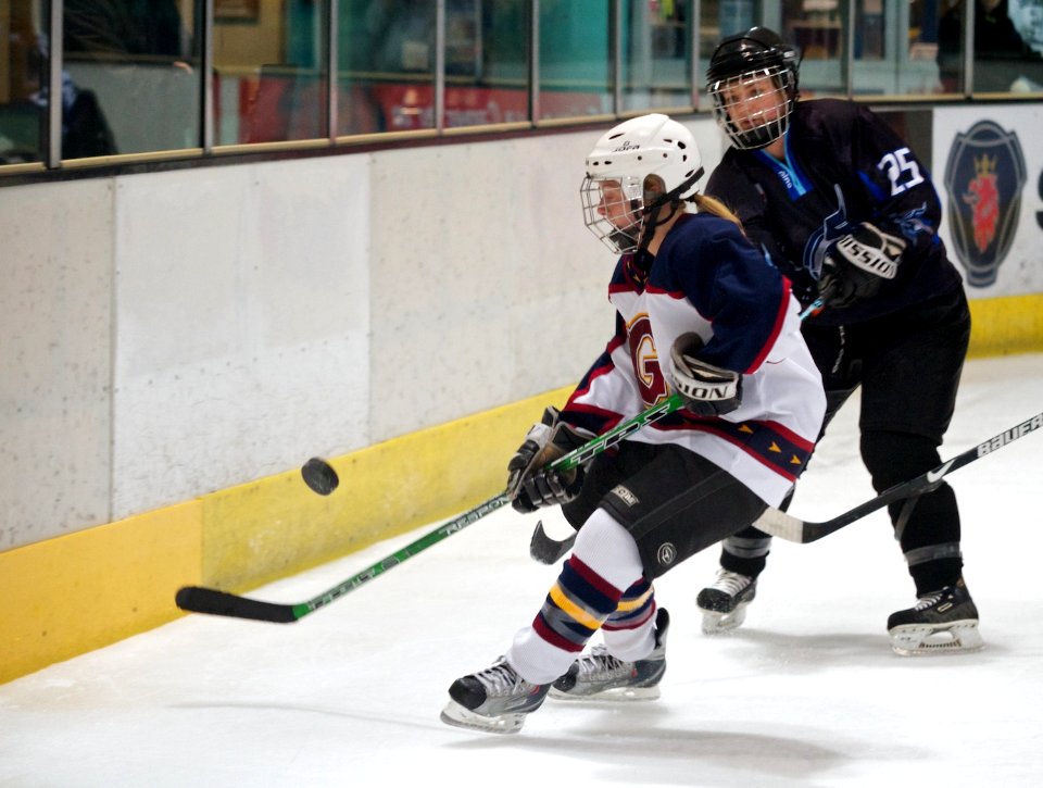 Guildford Lightning Vs Sheffield Shadows