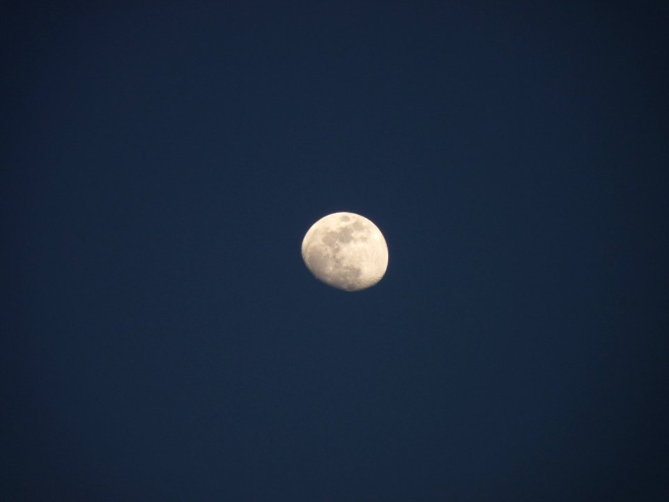 Late winter moon 1