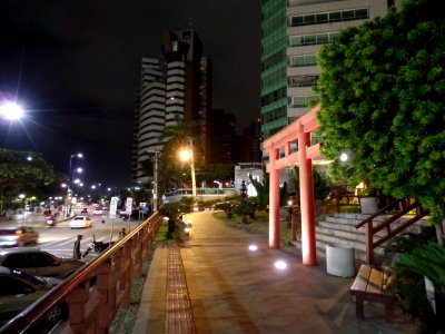 Jardim Japonês photo