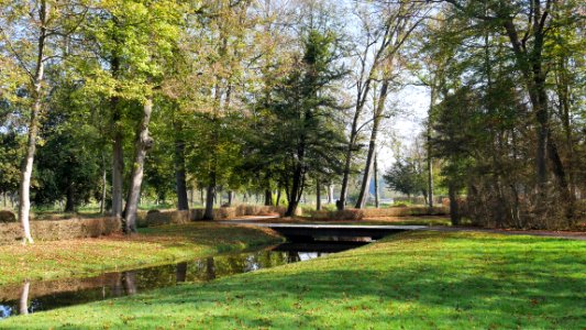Jardin anglo-chinois