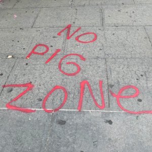 No Pig Zone photo