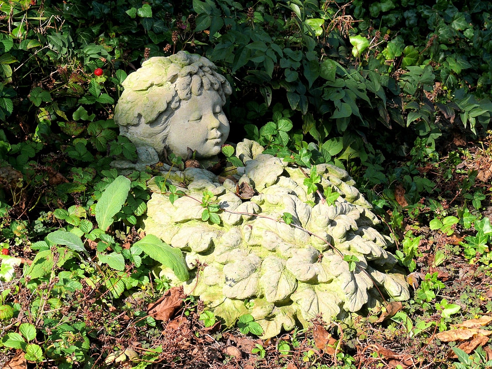 Garden fairy garden image