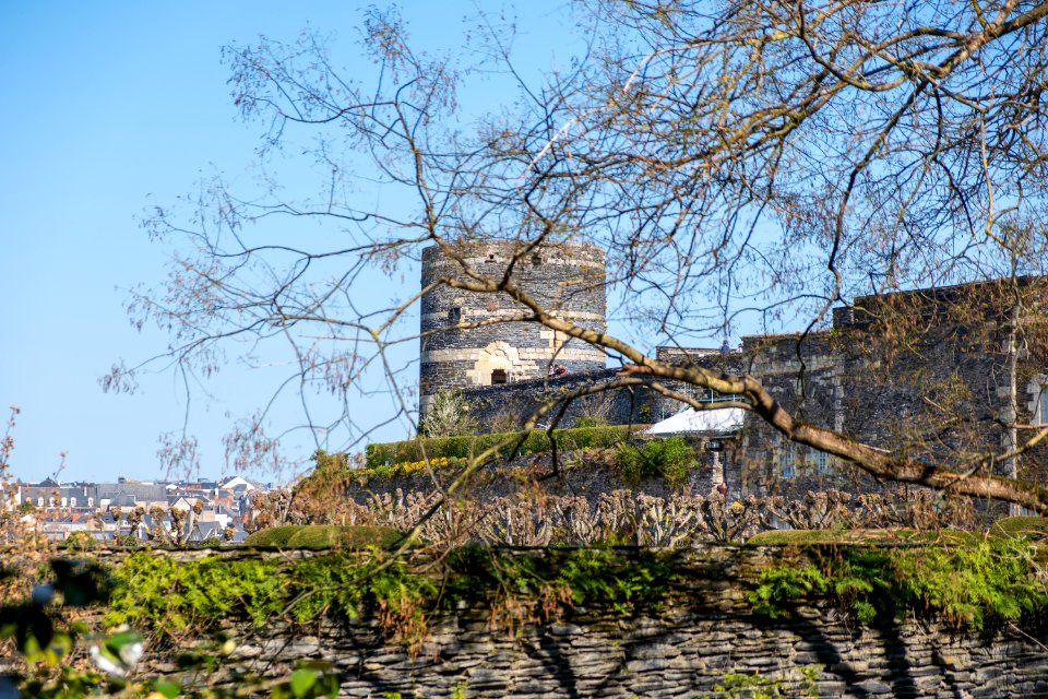 Château d'Angers
