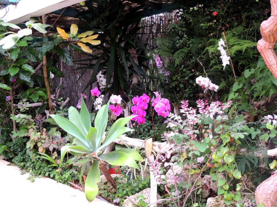 Jardín de las Orquídeas en Puerto de la Cruz