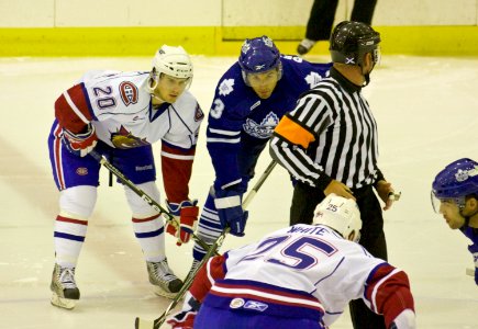 Hamilton Bulldogs Vs Toronto Marlies