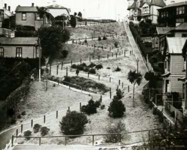Canongate Zigzag