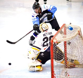 Bracknell Bees Vs Manchester Phoenix