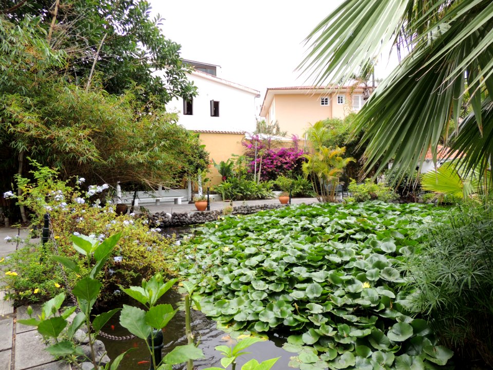Jardín de las Orquídeas en Puerto de la Cruz