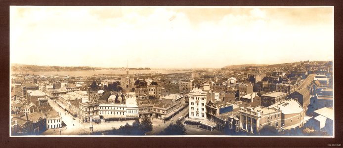 View of Dunedin looking south over the Octagon c1914