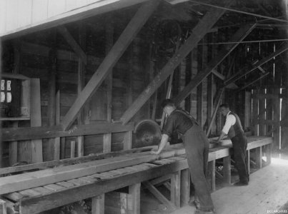 Construction of the New Zealand & South Seas Exhibition, Logan Park 1924-1925