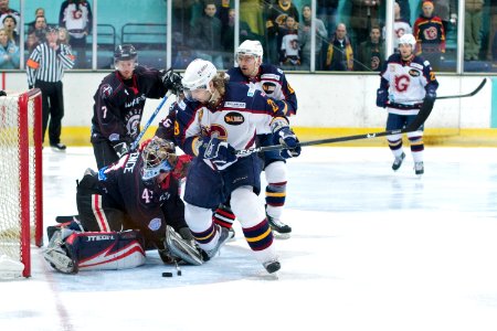 Guildford Flames Vs Basingstoke Bison