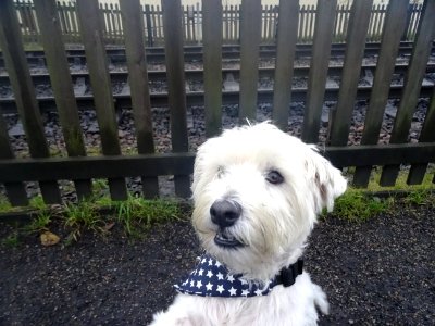 ENJOYING A DAY AT THE STEAM RAILWAY photo