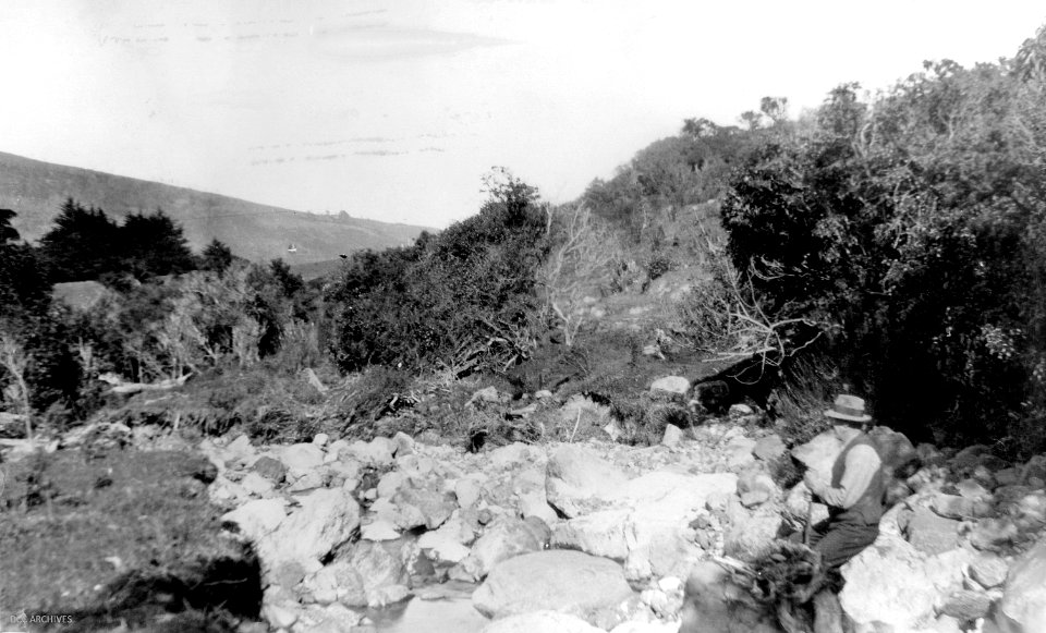 Bethune's Gully, April 1929
