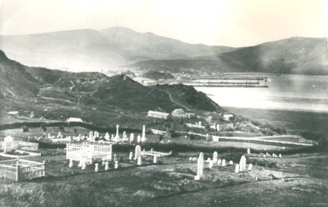 Southern end of the Town Belt, showing Southern Cemetery 1860s photo