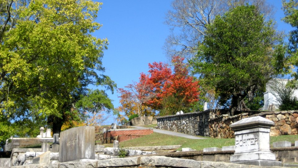 IMG 0586