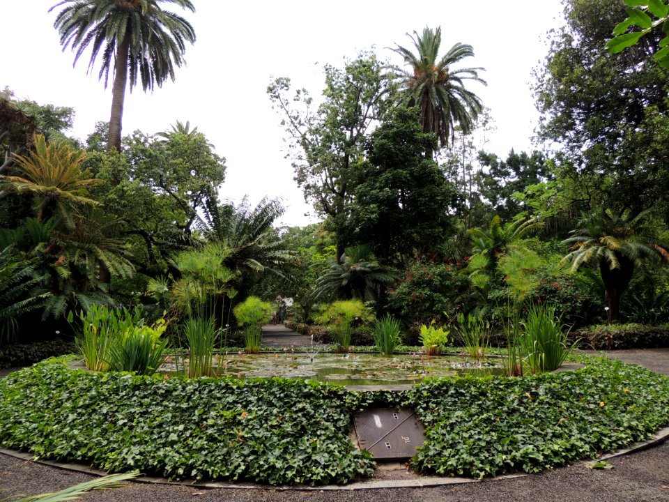 DSCN6809