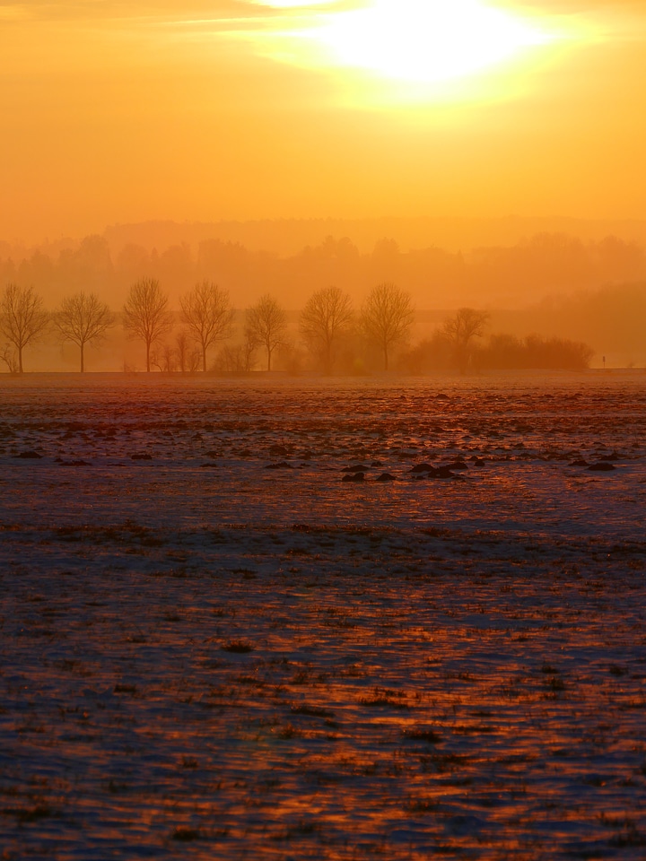 Backlighting hazy winter