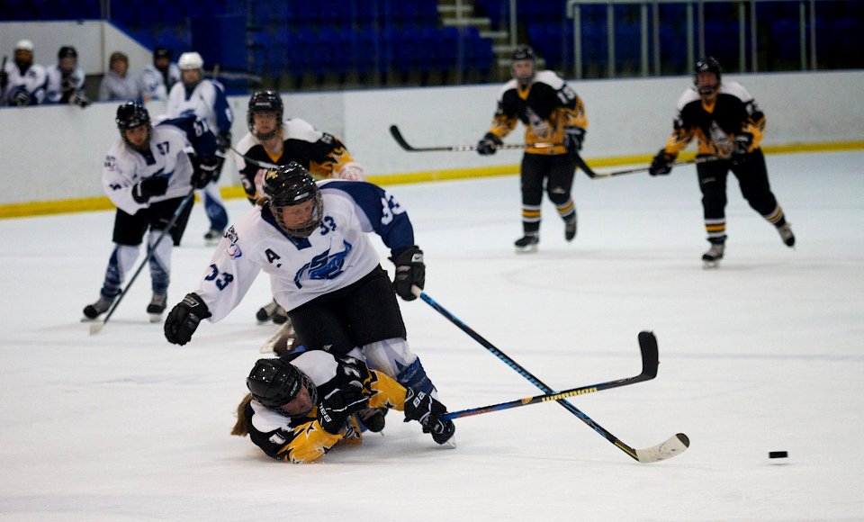 WD1 Chelmsford Vs Sheffield