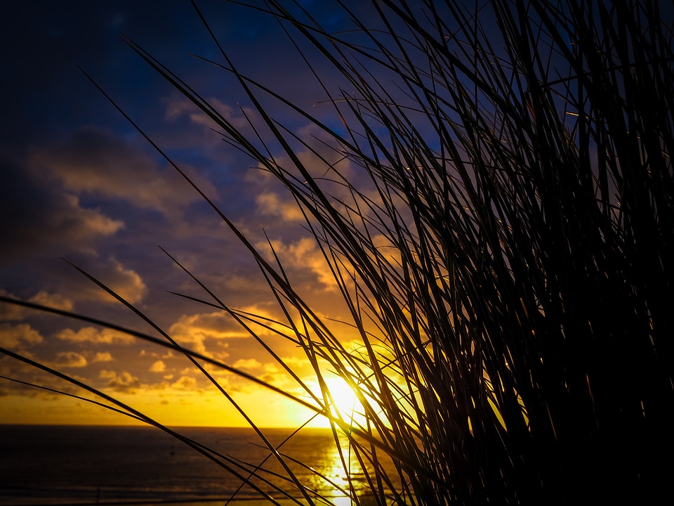 Close up mood sun