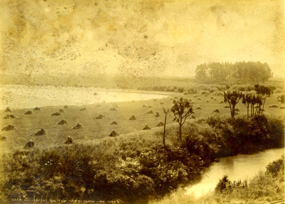 Mr Kirk’s farm, Taieri Plain