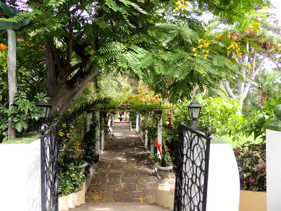 Jardín de las Orquídeas en Puerto de la Cruz