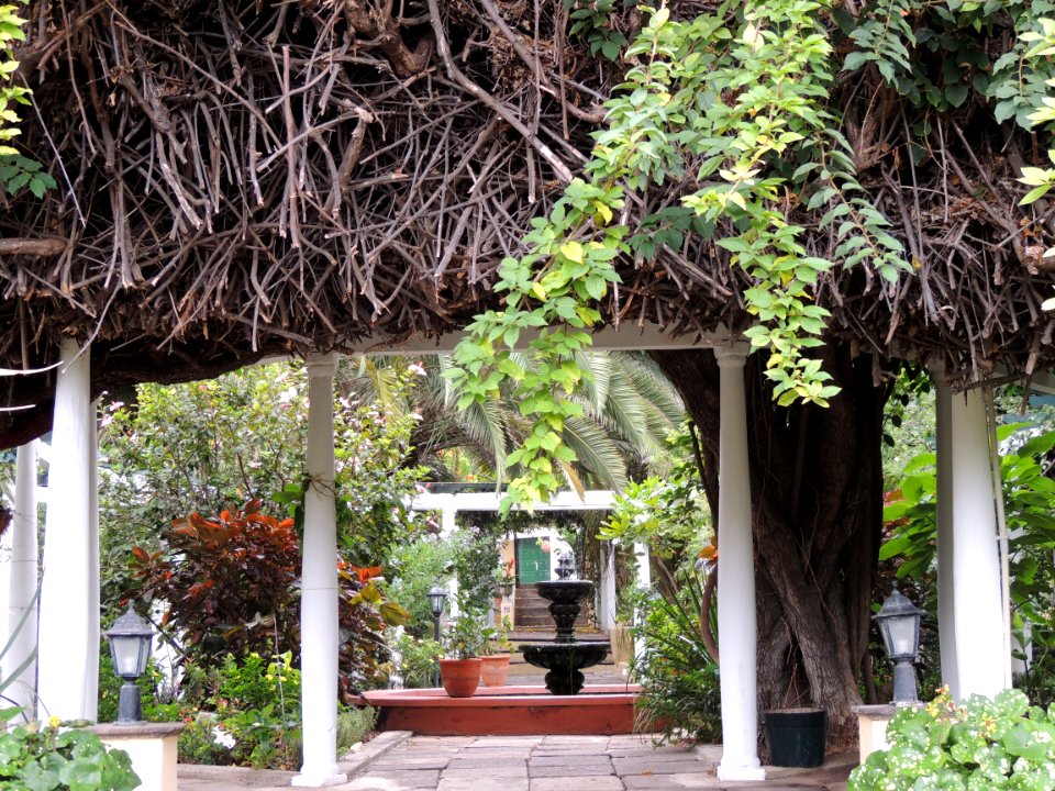 Jardín de las Orquídeas