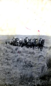 A heavy haul between Lawrence and Waipori