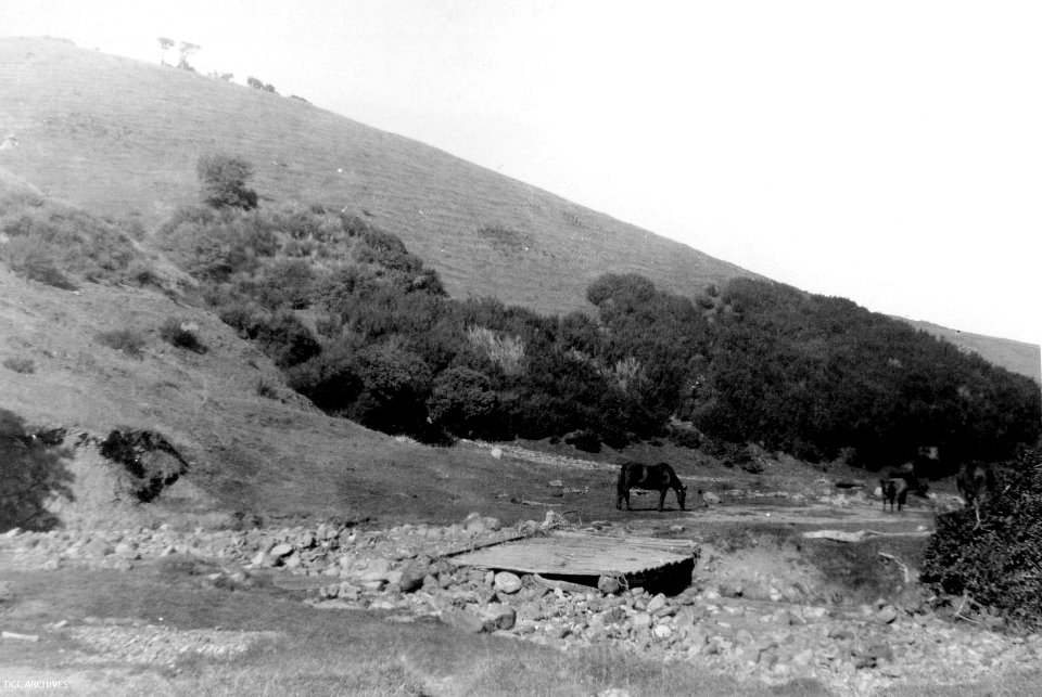 Bethune's Gully, April 1929