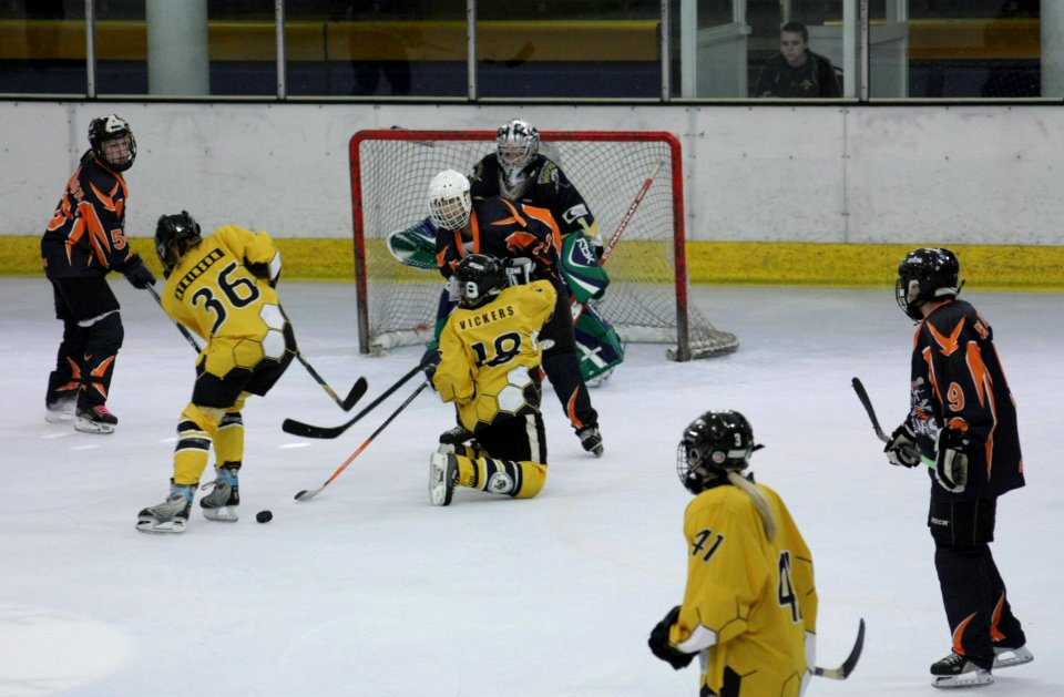 Bracknell Firebees Vs Basingstoke Bears