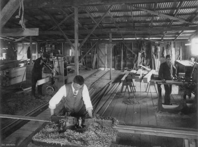 Construction of the New Zealand & South Seas Exhibition, Logan Park 1924-1925