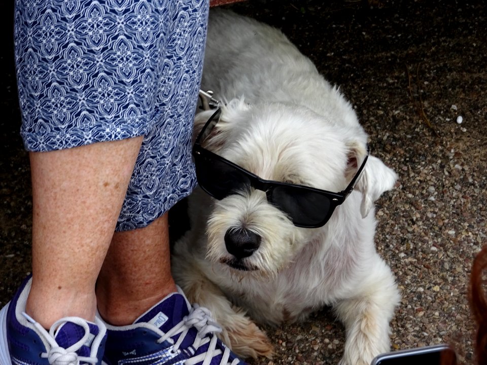 Keeping cool on a hot summers day!