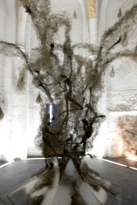 DSCF1664