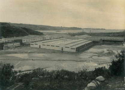 Construction of the New Zealand & South Seas Exhibition, Logan Park 1924-1925