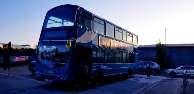 Carol The Bus