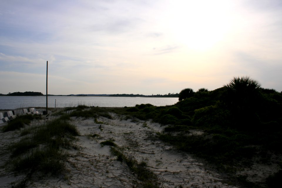 IMG 0492
